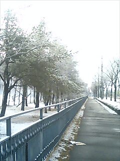 070403_0709~0001.jpg